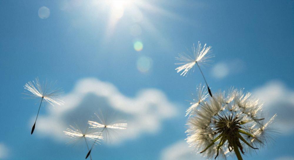 Trauerbegleitung für Angehörige